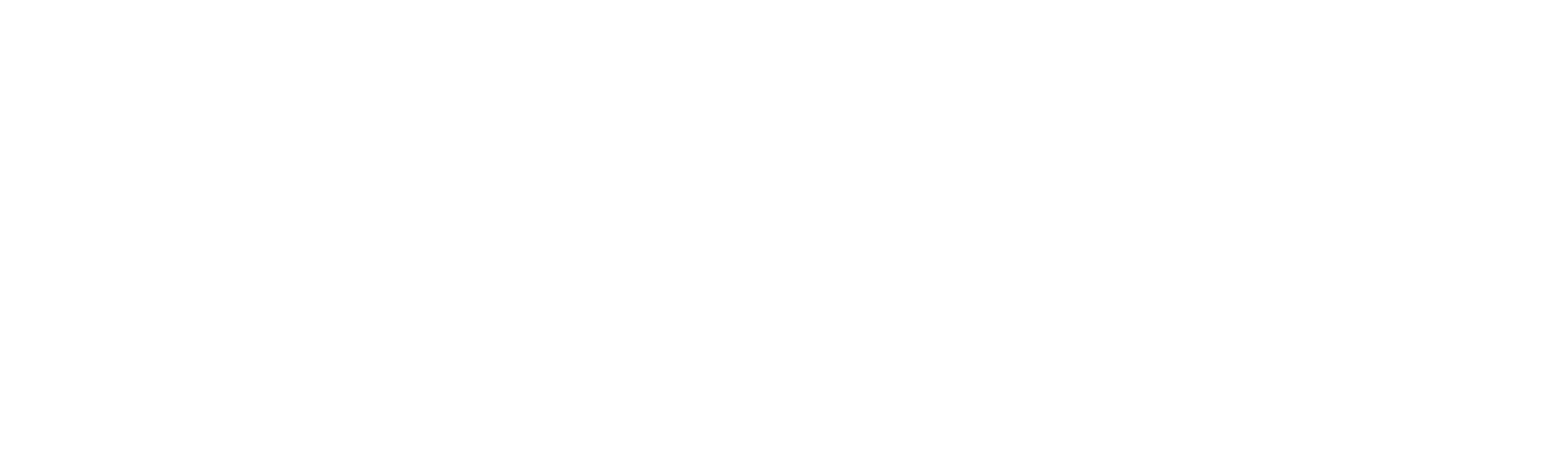 logo light